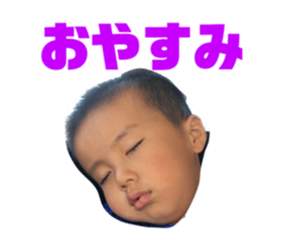 176336378