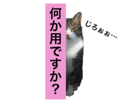 17634496