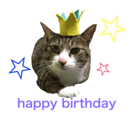 17634504