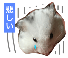 17642873