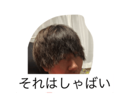 176467305