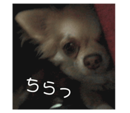 176482756