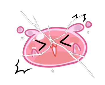 Pink Cute Mochi รูปที่ 7