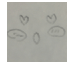 176555981