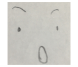 176555984