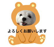 176588127