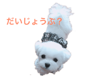 176588143