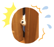 176588149