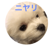176588151