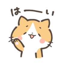 17662213