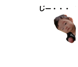 176634638