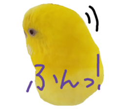 17664620
