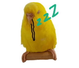 17664624