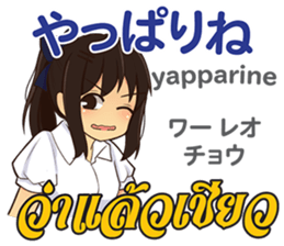 17666333