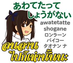 17666337