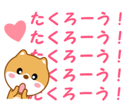17667793