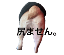 176686665