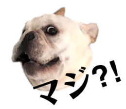 176686666