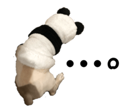 176686667