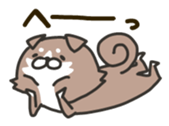 176704