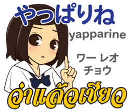 17672533