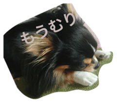 176734993
