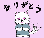17677299