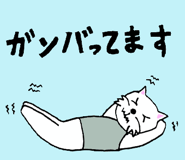 17677304