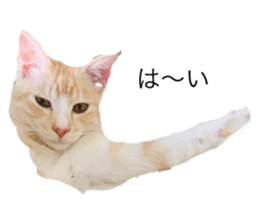 176787407