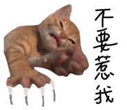 176930932