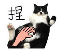 176930941