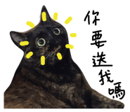 176930948