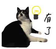 176930949