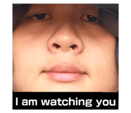 176936672