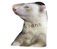 17695481