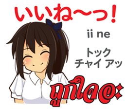 17696506