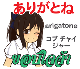 17696513