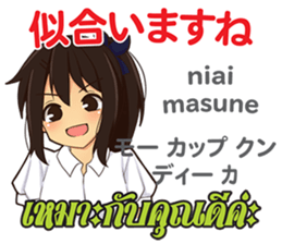 17696612