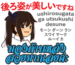 17696629
