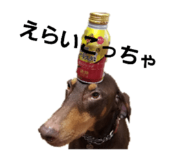 177007840