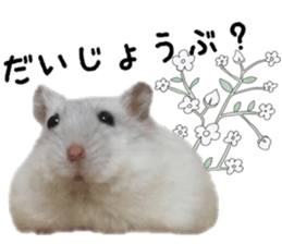 17702354