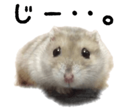 17702361