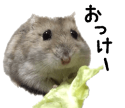 17702367
