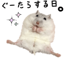 17702369