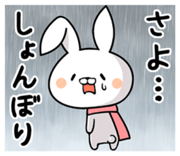 17705209