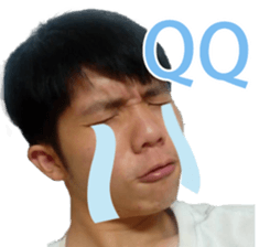 17717238