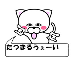 177211665