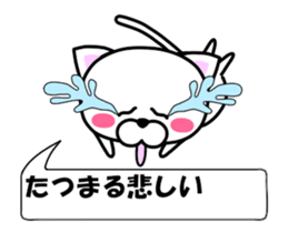 177211667