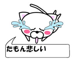 177212171