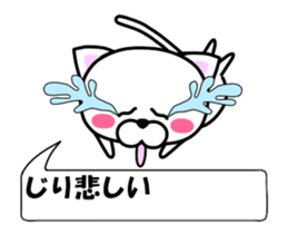 177212507